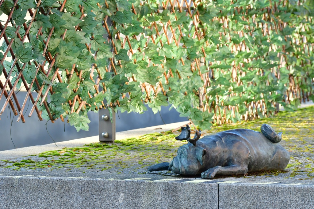 2026-01-08 Brandenburg an der Havel/Waldmöpse/DSC_2343.JPG
